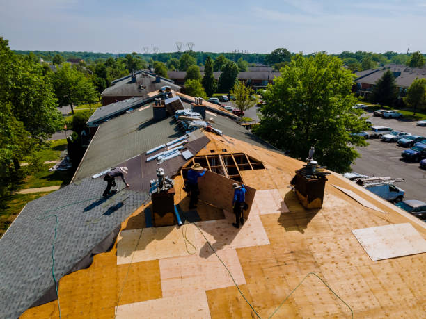 Trusted Roofing service in Nathalie, VA - Brentwood Metal Roofing